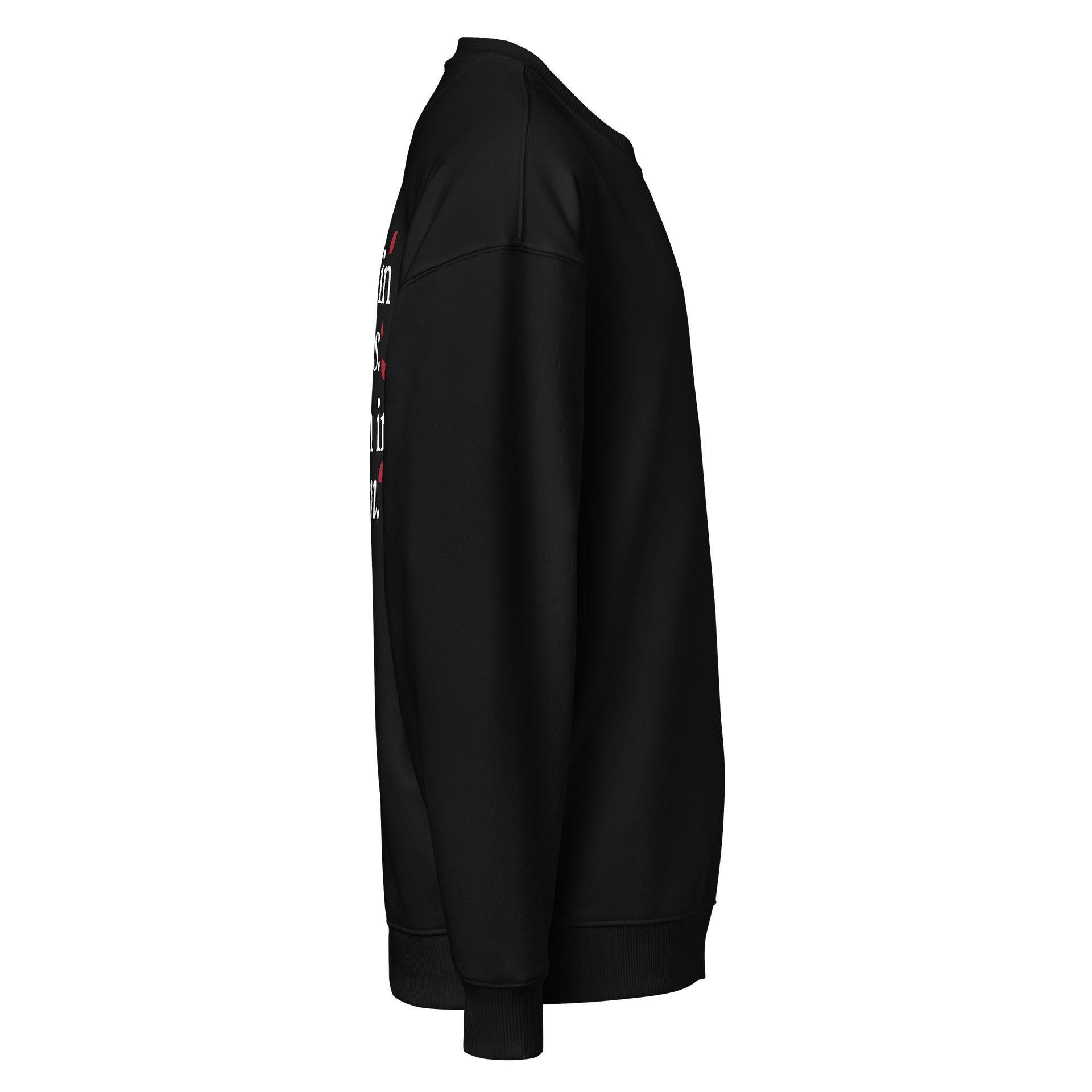 Stanley/Stella Unisex Organic Oversized Sweatshirt product image (6)