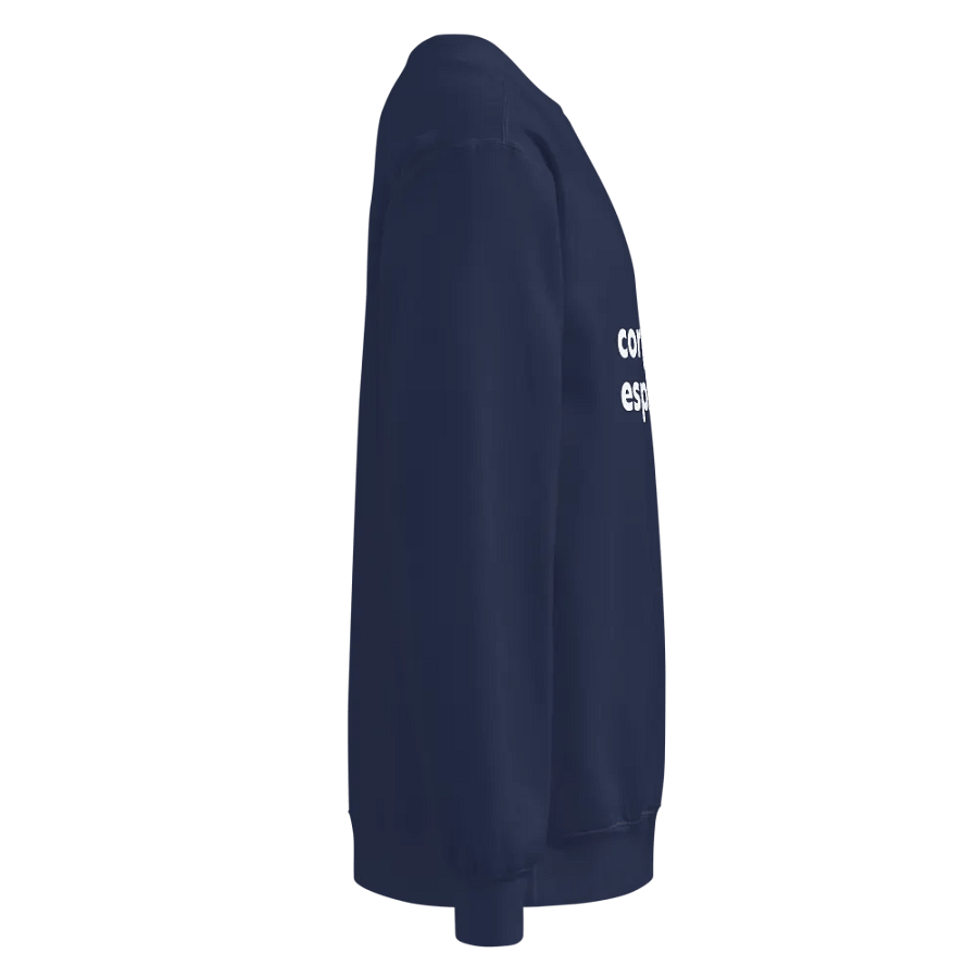 corporate espionage sweatshirt product image (32)