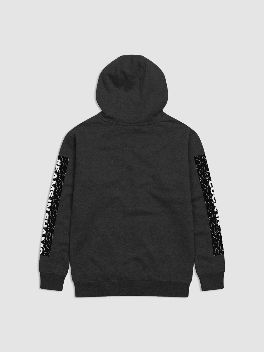 FAMS IN SHAMS HOODIE product image (2)