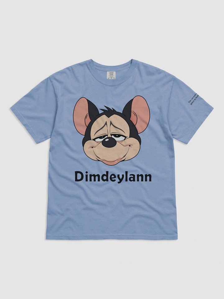 Dimdeylann Heavyweight Tee product image (13)