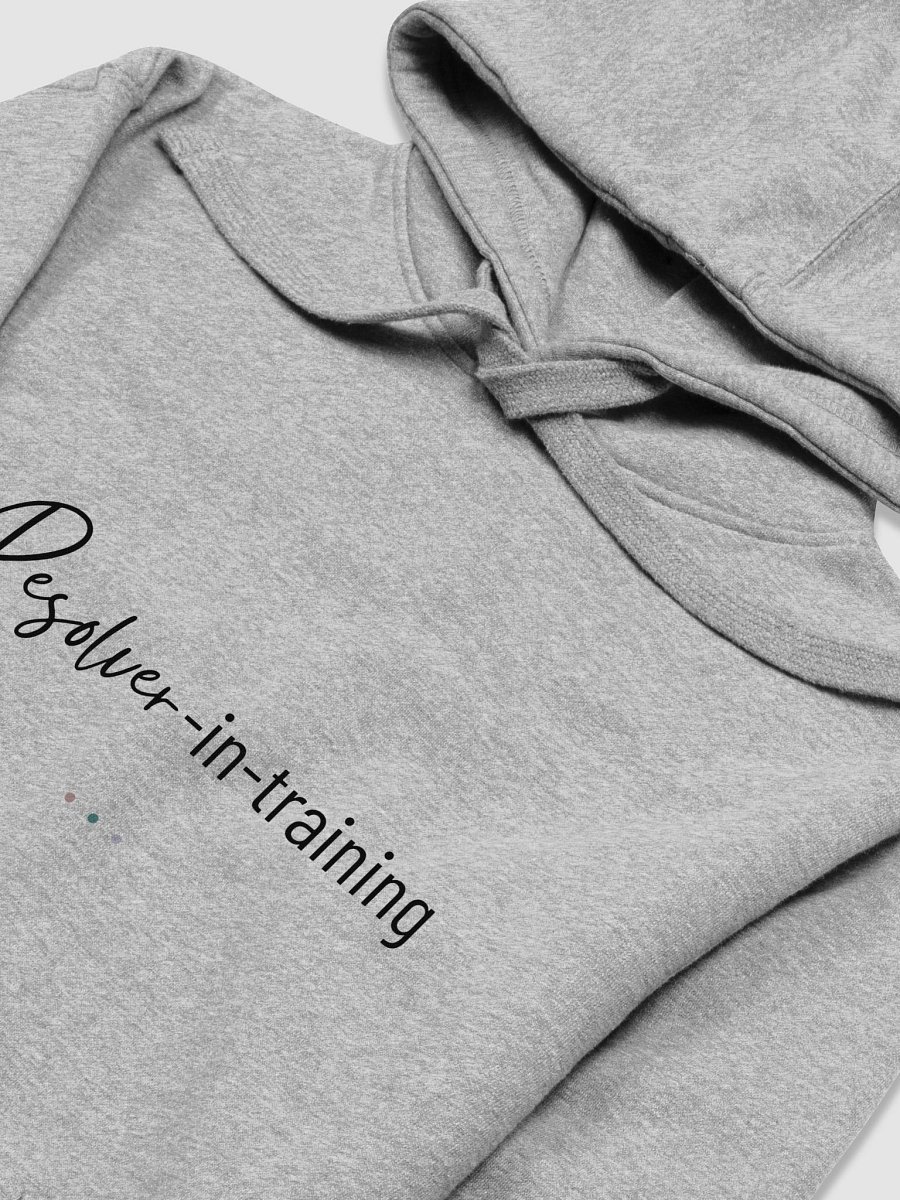 Resolver-in-Training Hoodie product image (3)