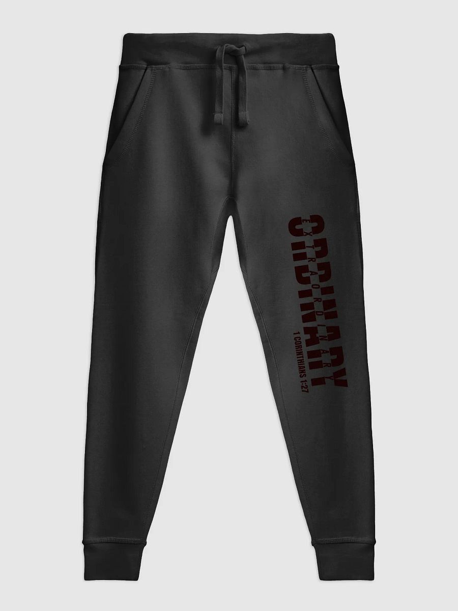 The Ordinary Joggers product image (2)
