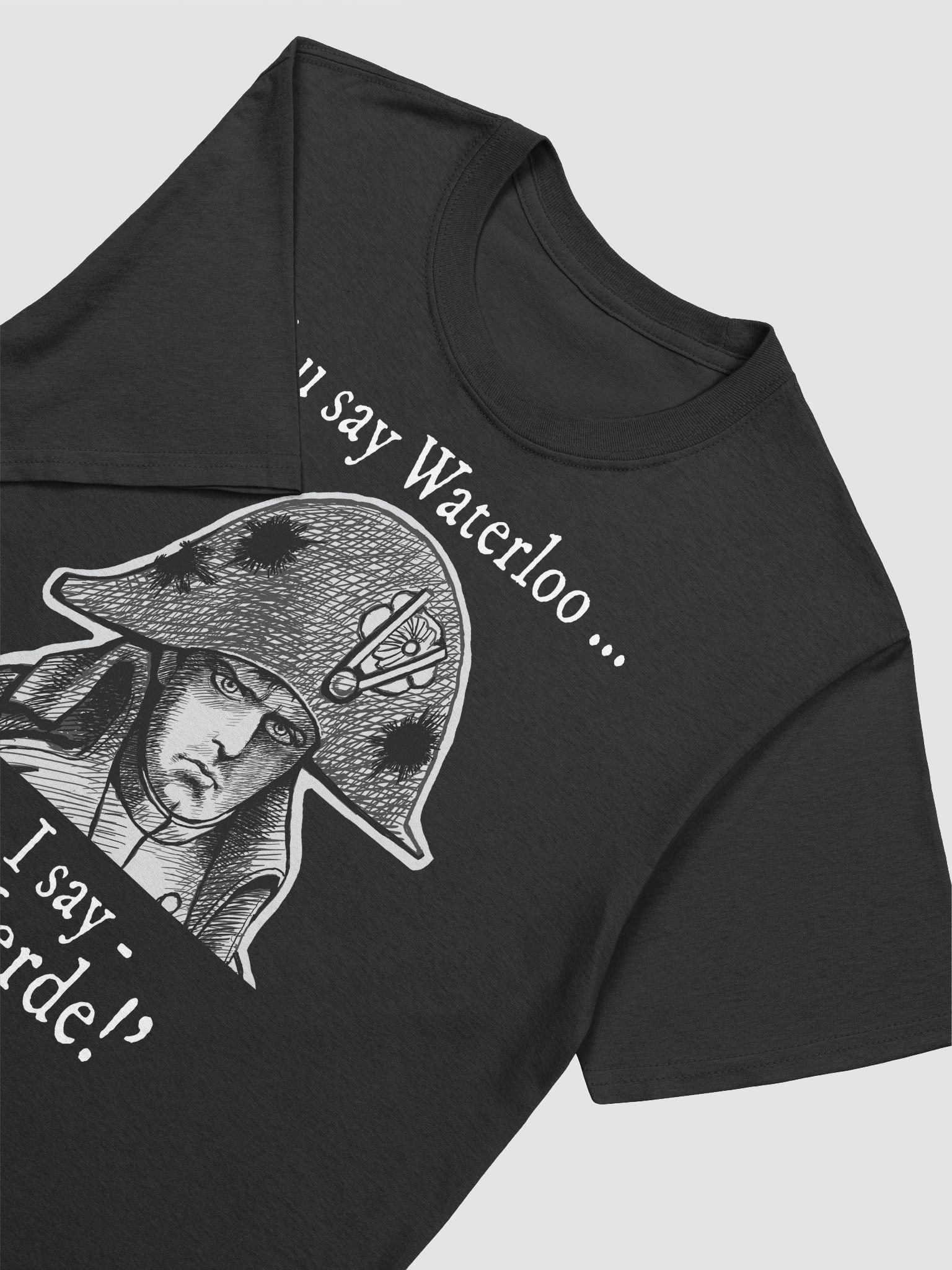 Napoleon's Waterloo: funny history T-shirt product image (25)