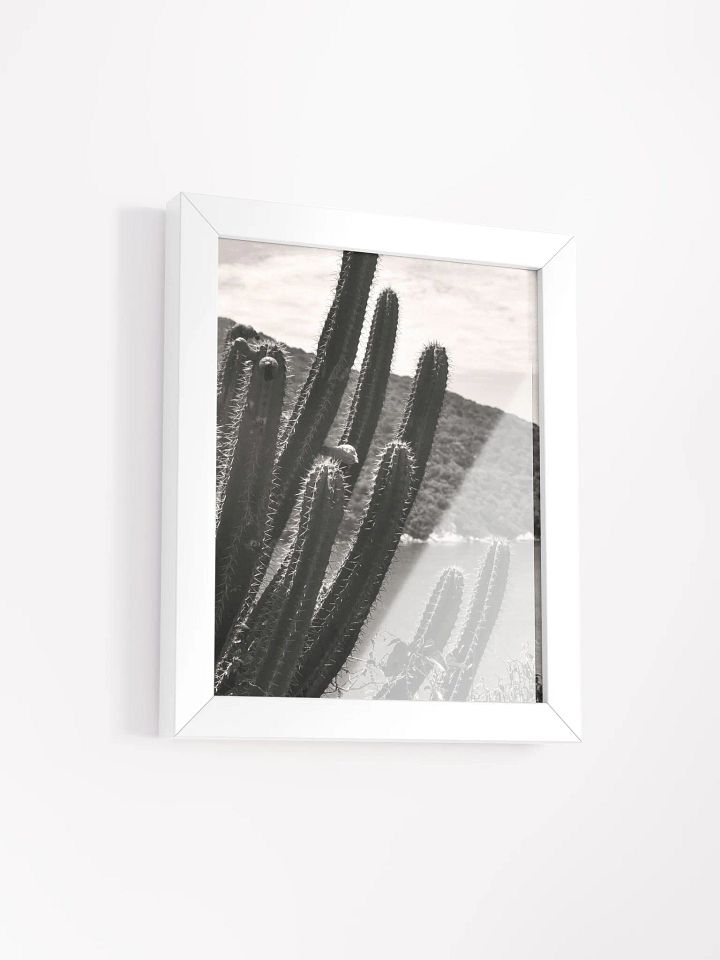 Mexico Lindo - Framed High-Quality Matte Poster product image (2)