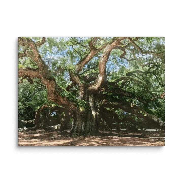 The Angel Oak Canvas Print product image (2)