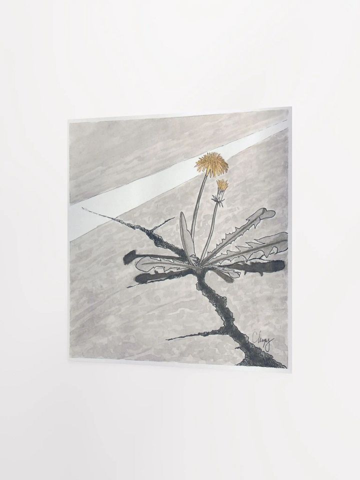 Dandelion Print product image (2)