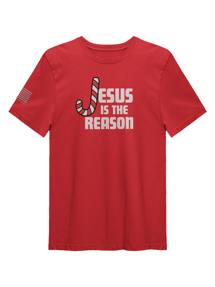 Jesus Is The Reason T-Shirt product image (1)
