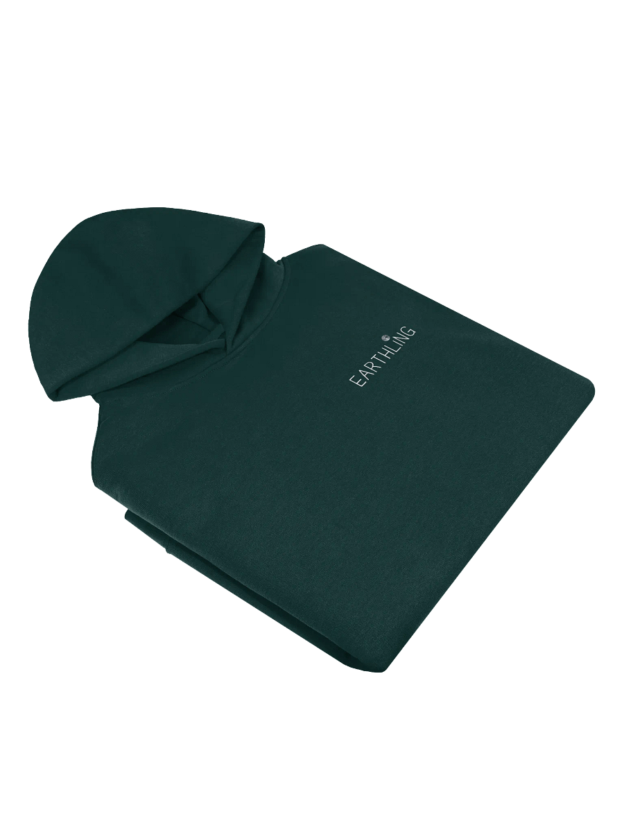 EARTHLING Hoodie product image (11)