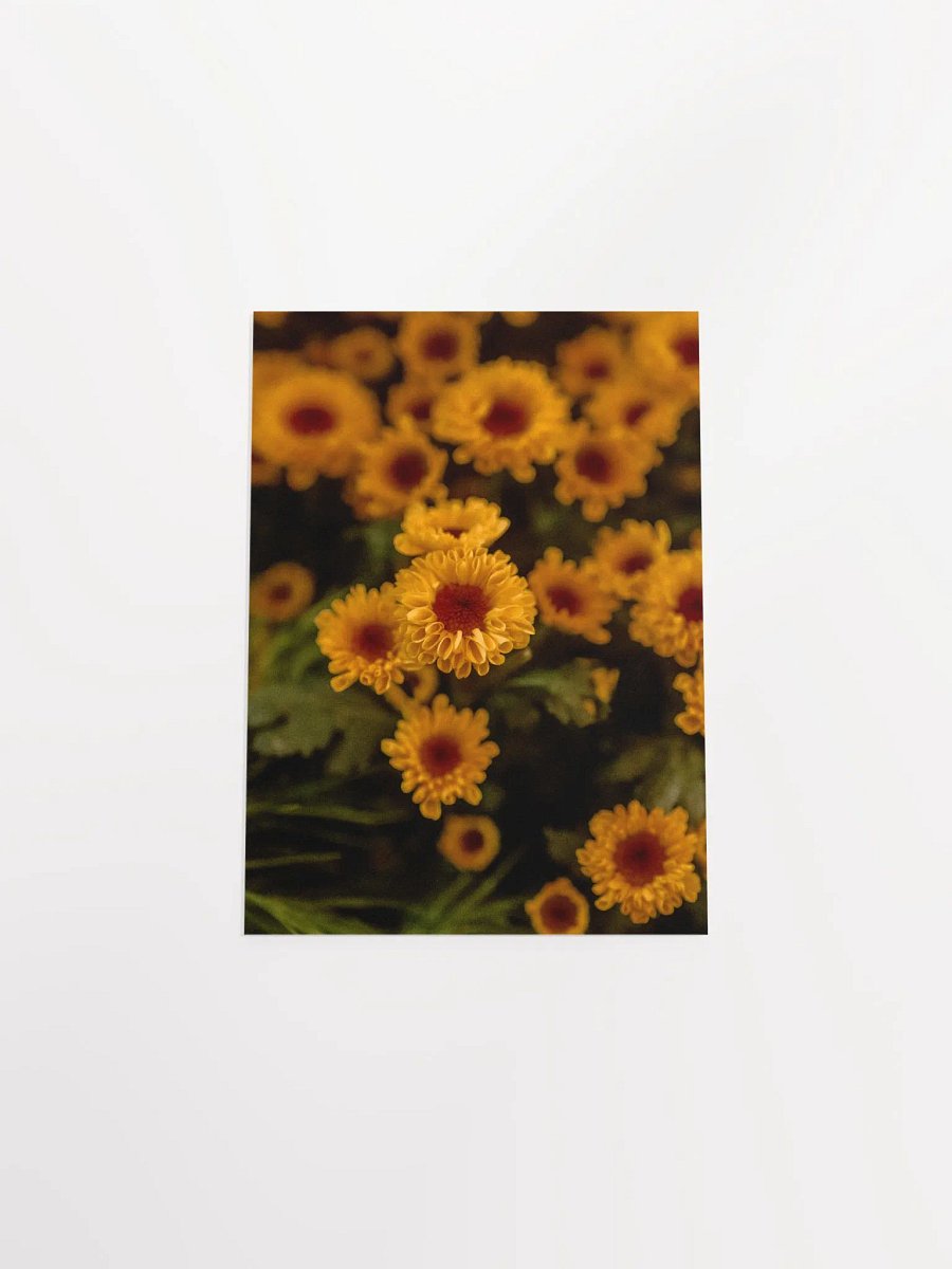 Daisies product image (17)