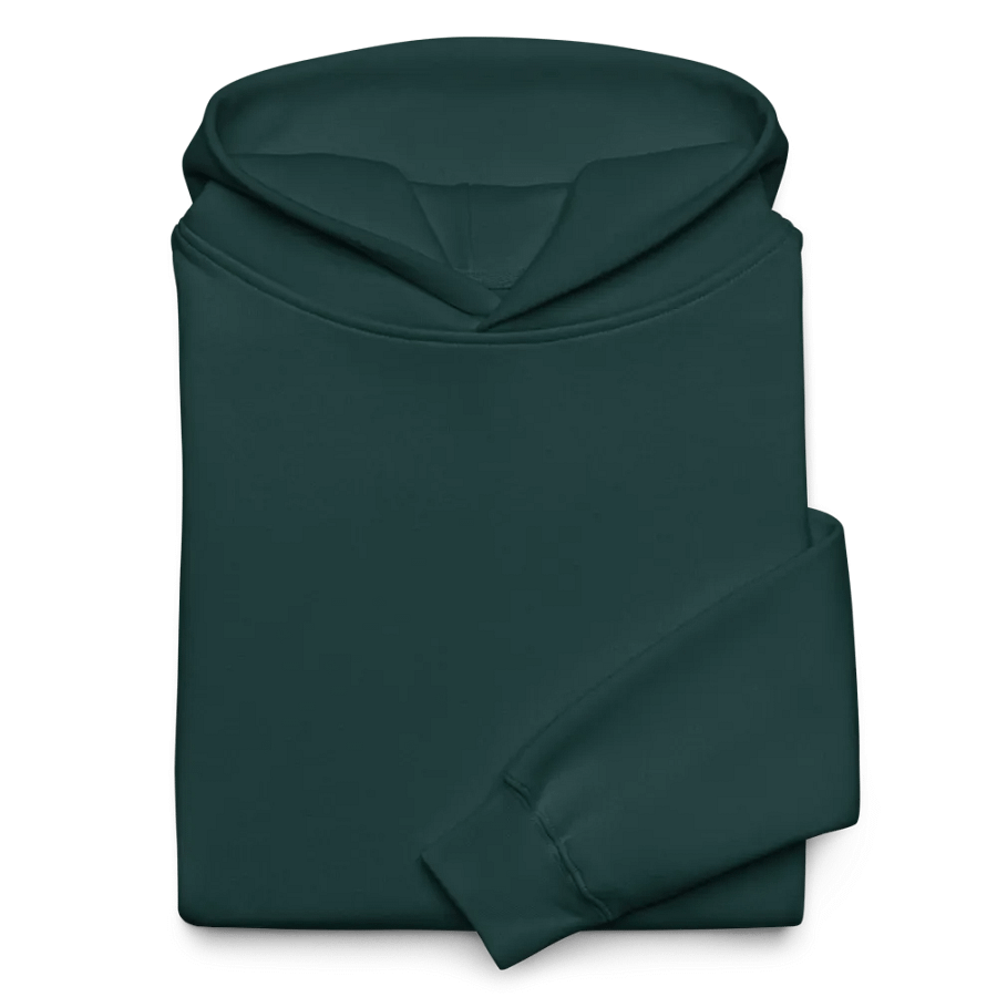 Catch Me If You Can Premium Hoodie product image (6)