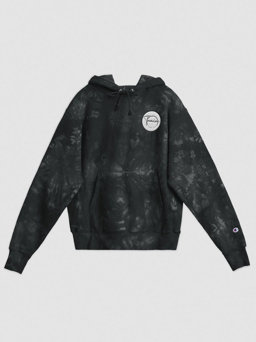 Champion Team Tera Hoodie product image (3)