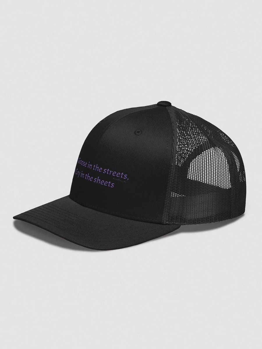 Silly Goose trucker hat product image (7)