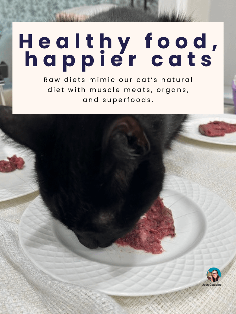 Switch to Raw Blueprint Digital Magazine ~ How to switch your cat from dry or wet to premade raw product image (2)