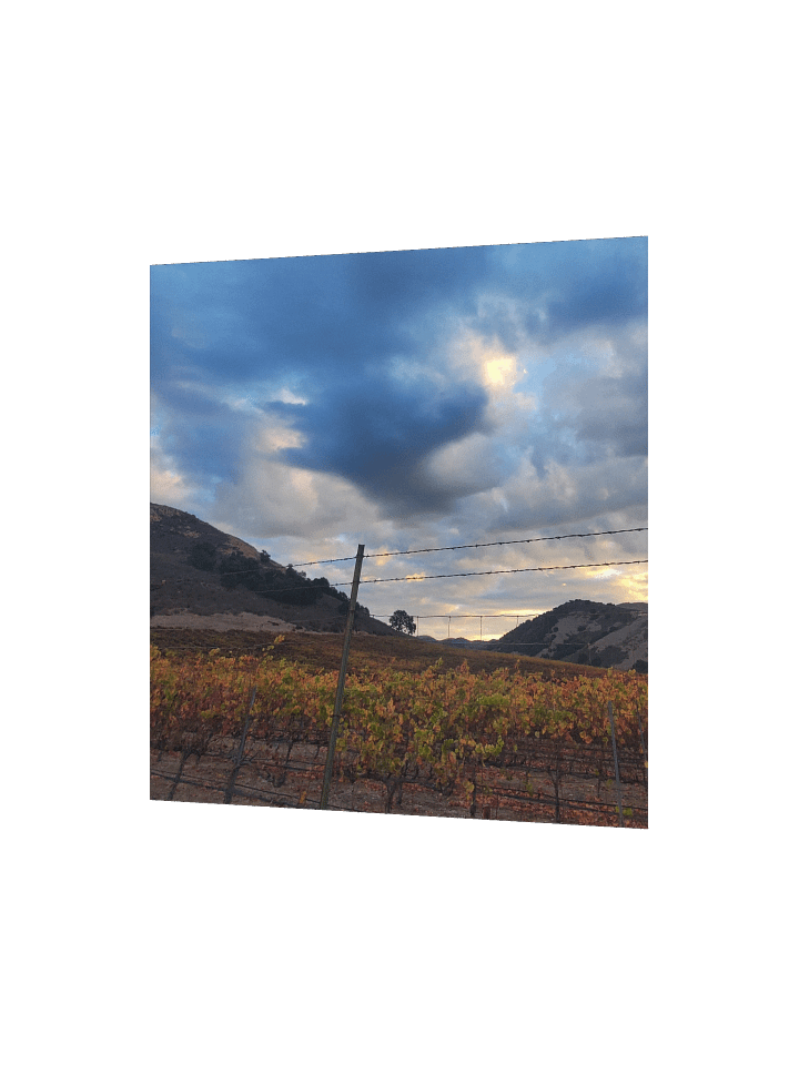 Vineyard Horizon Matte Poster product image (9)