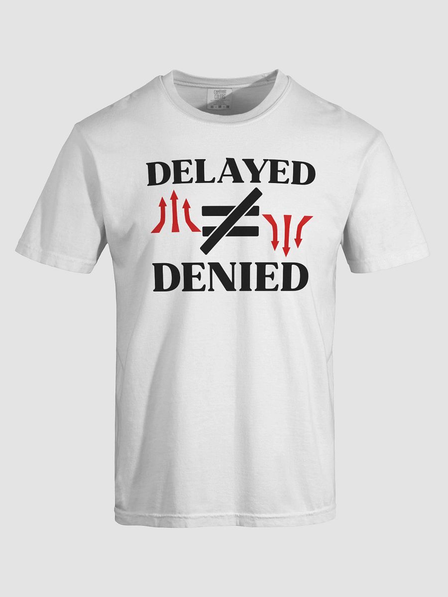 Delayed Not Denied Comfort Color T-shirt. product image (22)