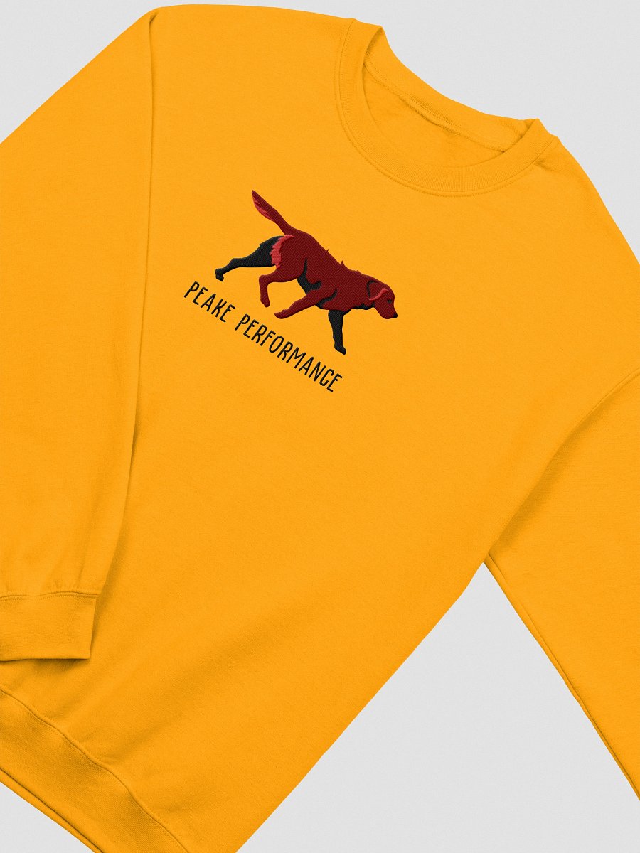 Peake Performance Sweatshirt (Embroidered) of a Chesapeake Bay Retriever(Brown) product image (12)