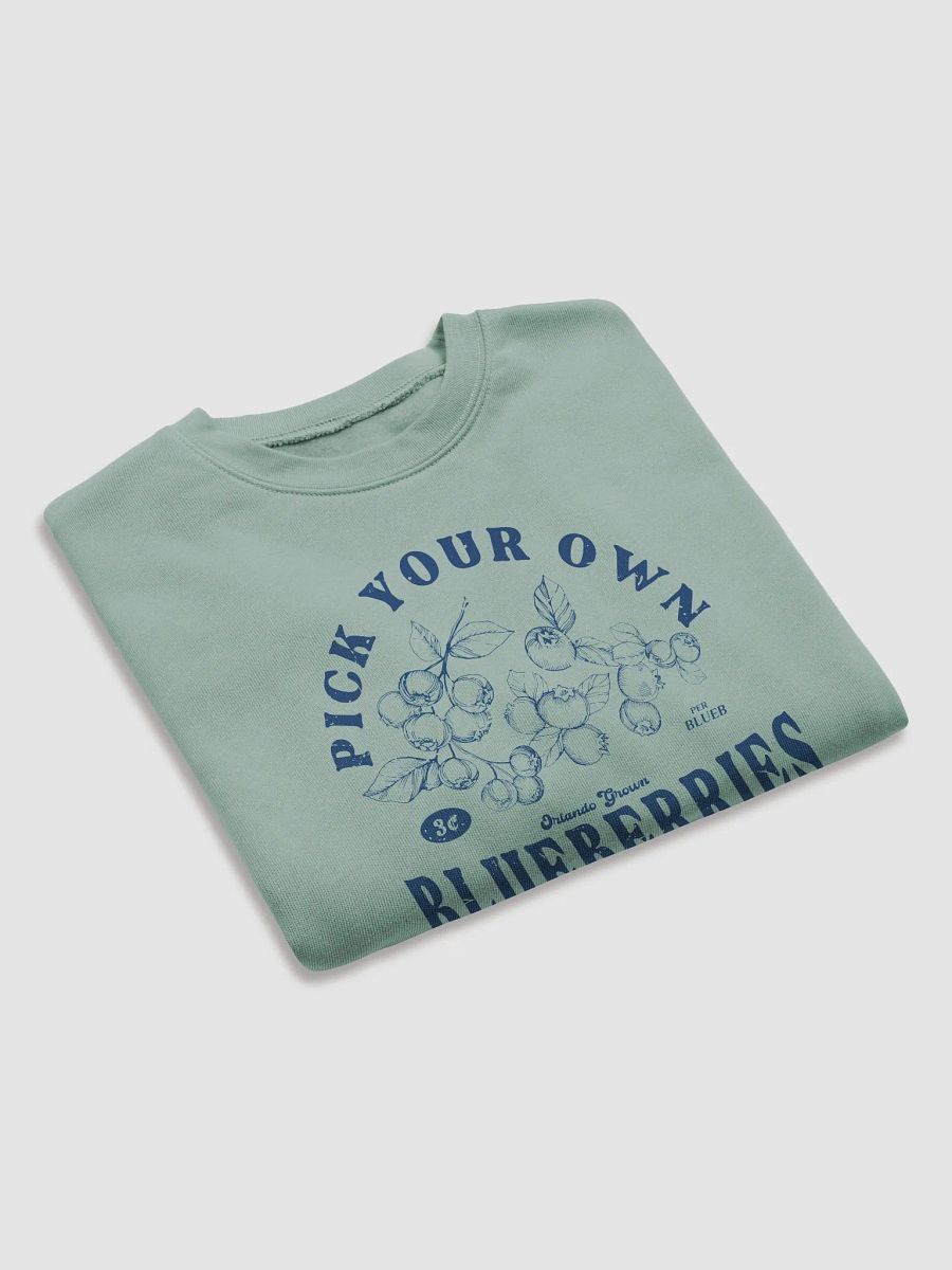 PYOB (Blue) Cropped Hoodie product image (4)