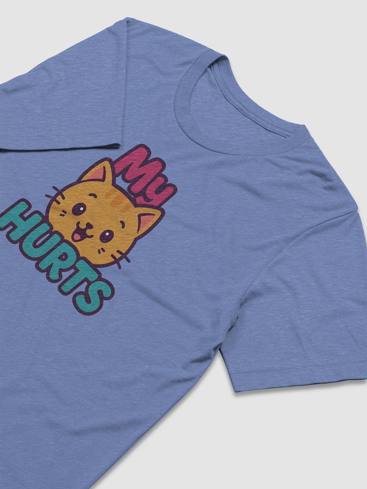 "My Pussy Hurts" Men's Premium Triblend T-Shirt product image (12)