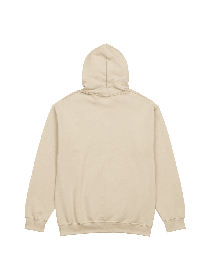 Gives You XP Hoodie product image (2)