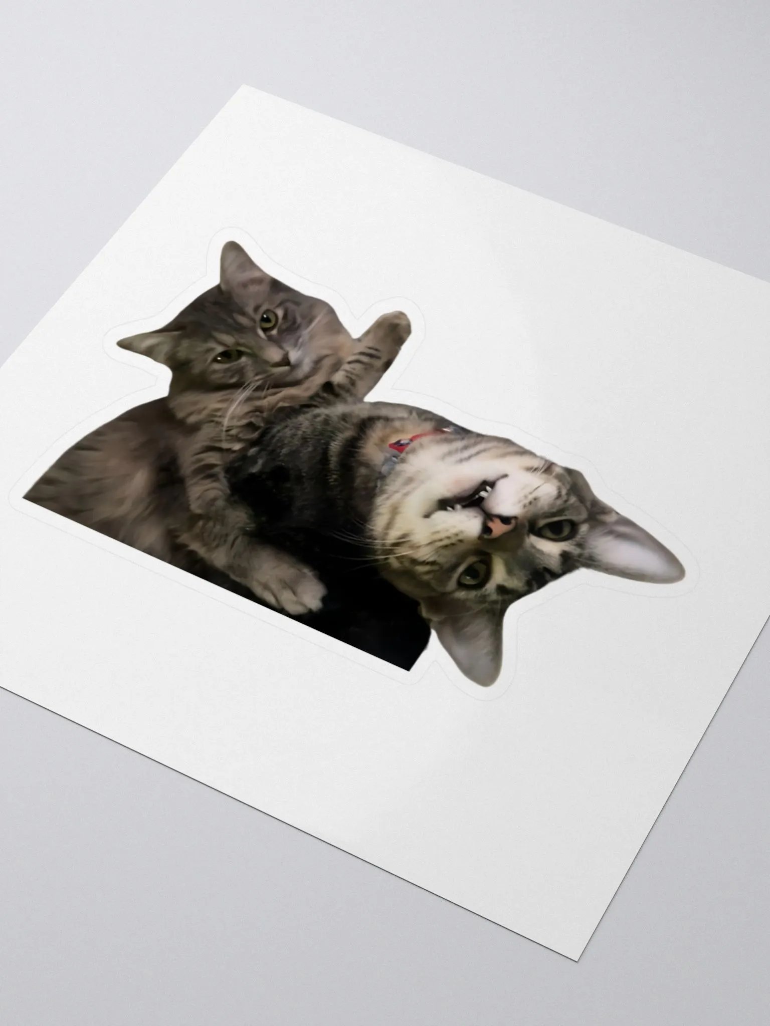 xDarknTwistyx Sticker ft. Meredith & Rocky product image (3)