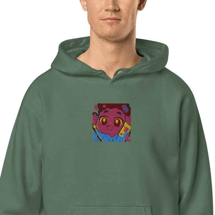 DanVasion Hype Embroidered Hoodie product image (12)