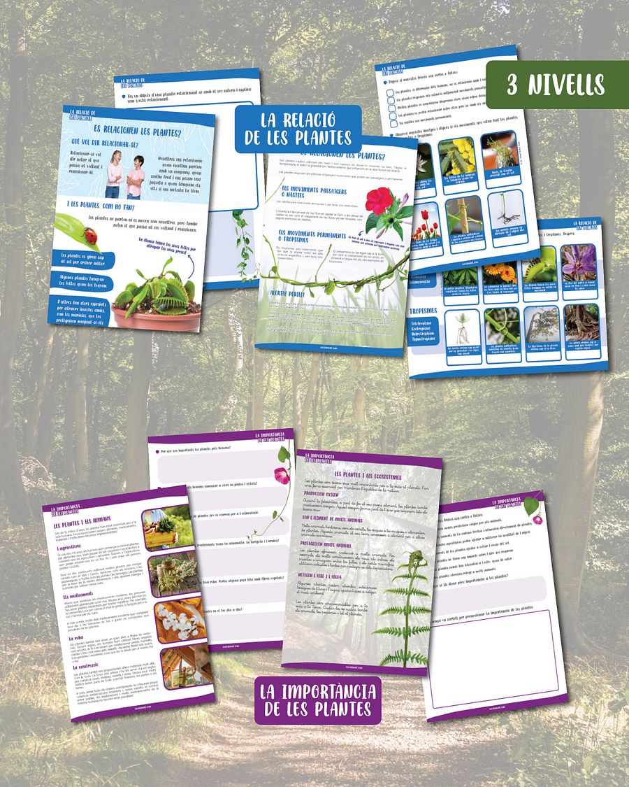 Les plantes: multinivell product image (3)