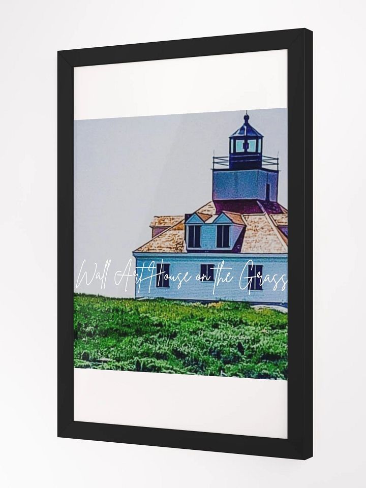 Art House & Grass Framed High-Quality Matte Poster (in) product image (2)