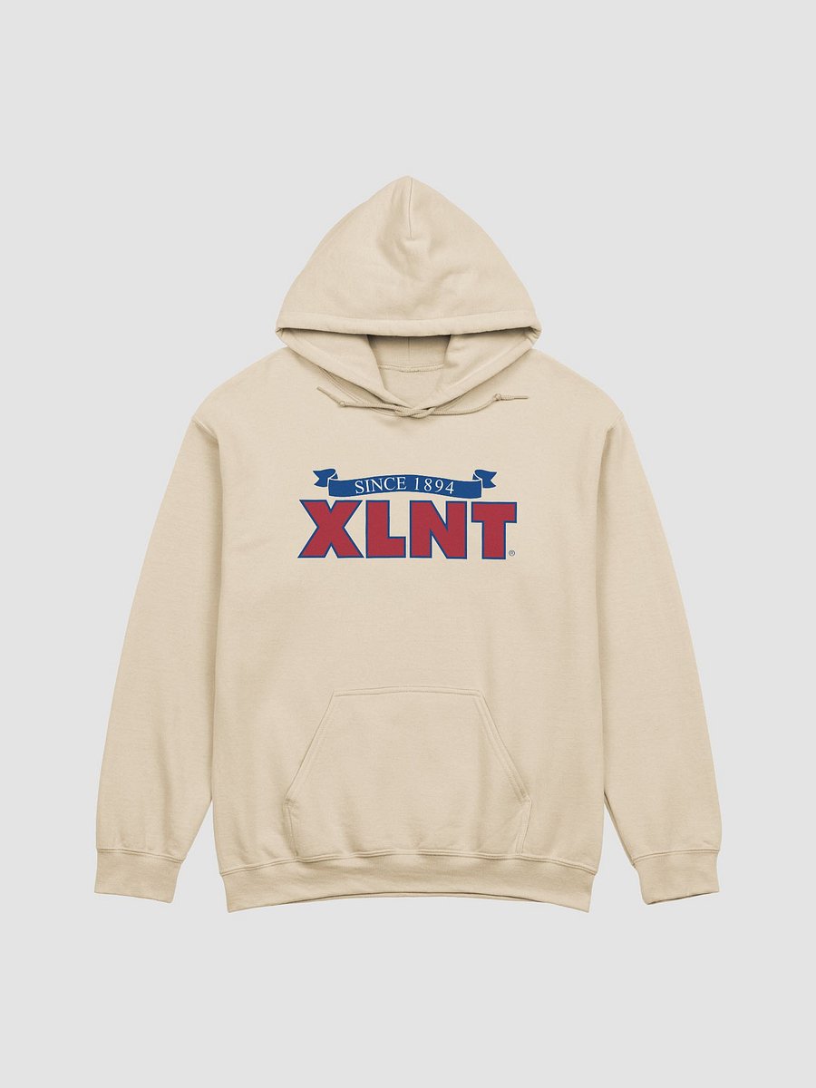 XLNT Foods Logo Hoodie product image (10)