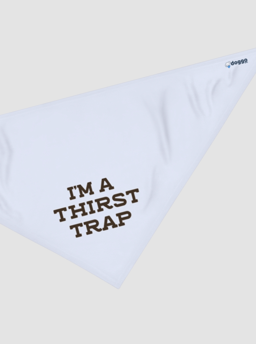 I'm a Thirst Trap product image (1)