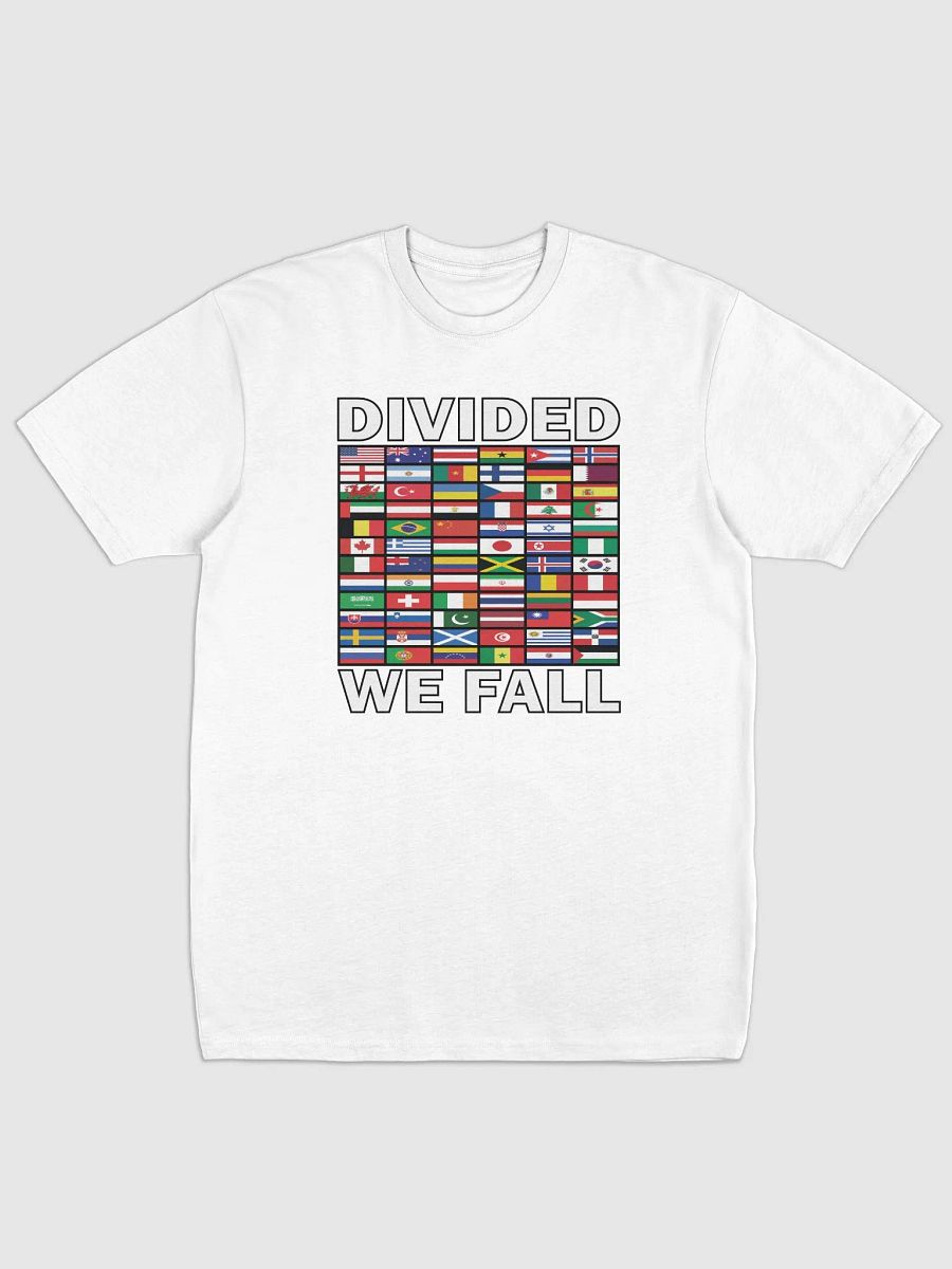 Divided We Fall - Nations - Cotton Heritage Men's Premium Heavyweight Tee product image (2)