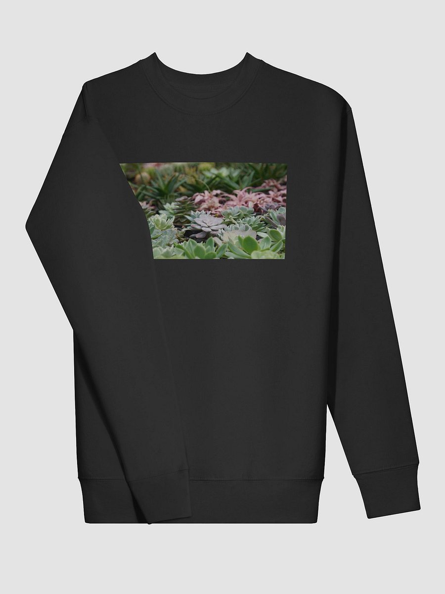 Succulent Serenity Premium Sweatshirt product image (3)