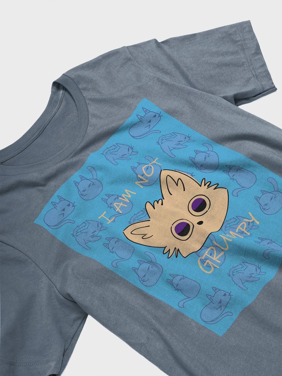 The (NOT) GRUMPY Bella Canvas T-Shirt product image (3)
