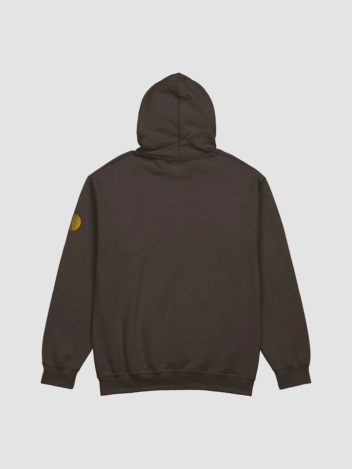 Hawai'i Volcanoes National Park eco friendly hoodie product image (2)