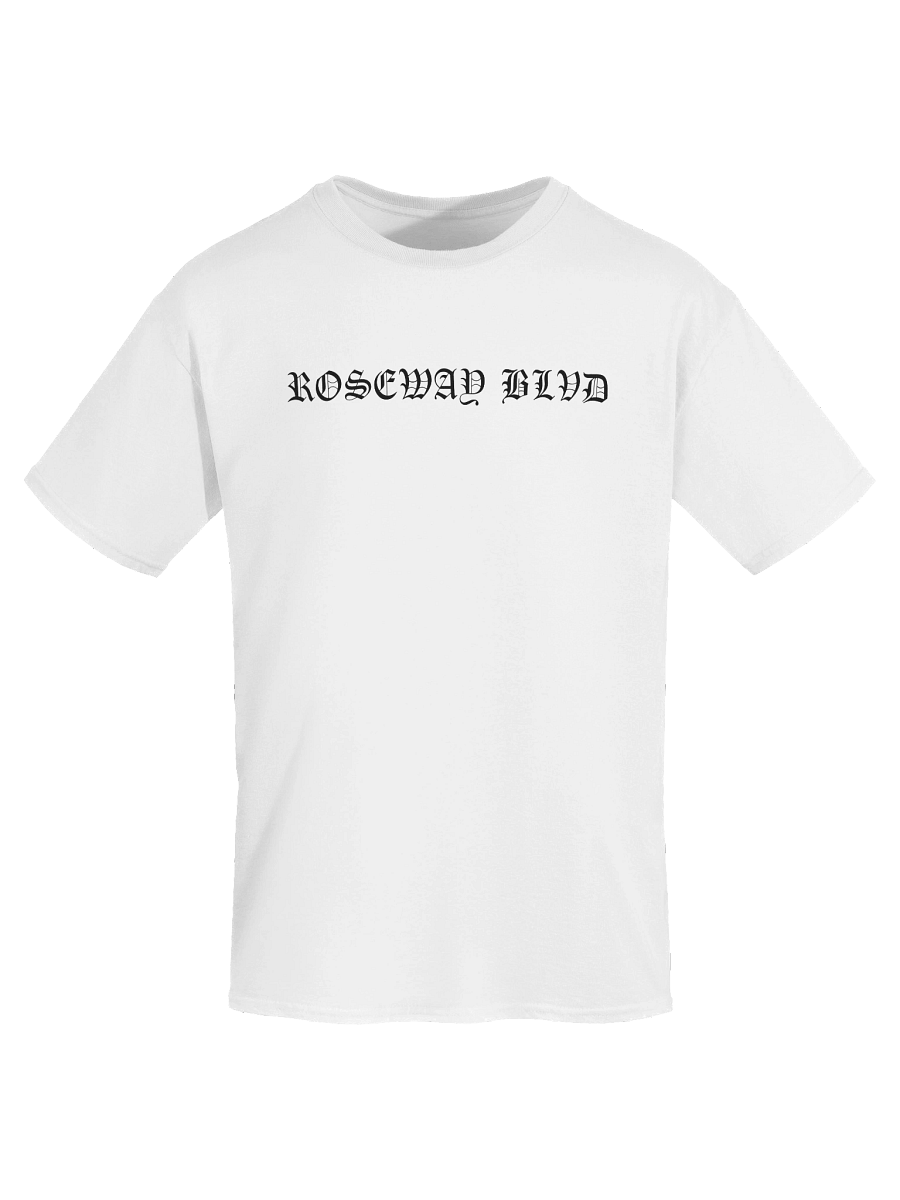 Roseway Blvd Box Shirt product image (7)