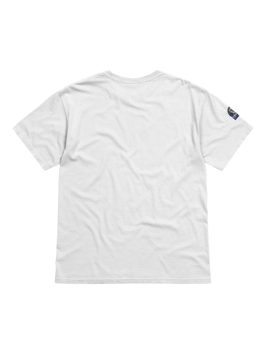 Crypto Heavyweight T-Shirt (Lower Price) product image (2)