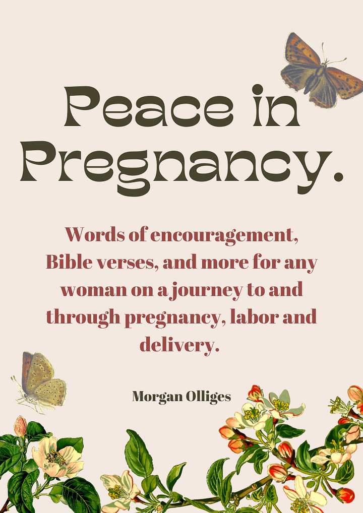 Peace In Pregnancy PDF product image (1)