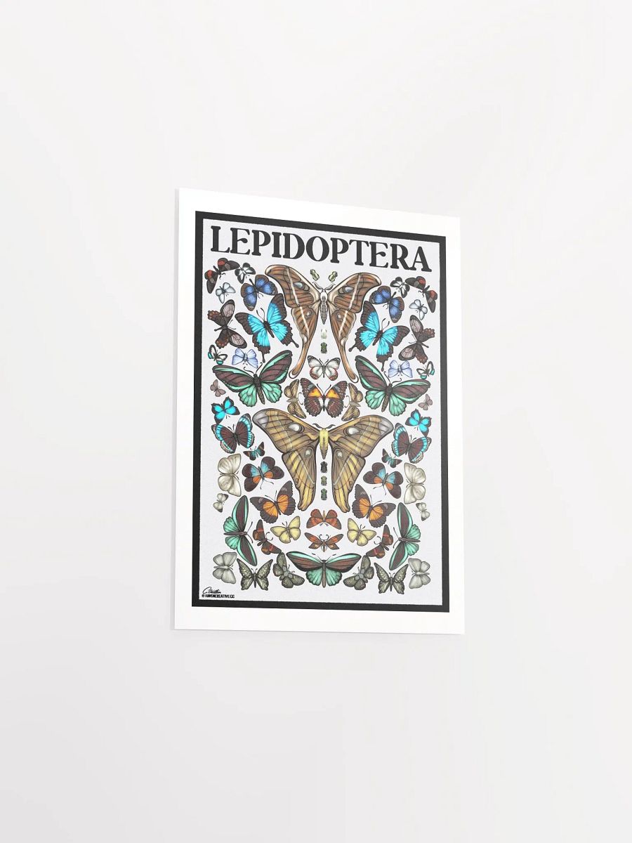 "Lepidoptera" Poster product image (3)