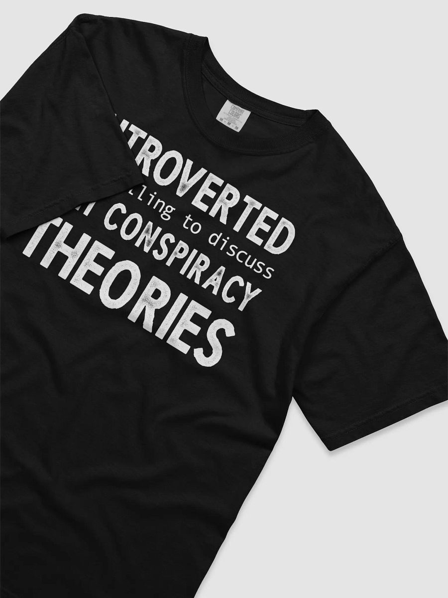 Introverted But Willing To Discuss 9/11 product image (3)