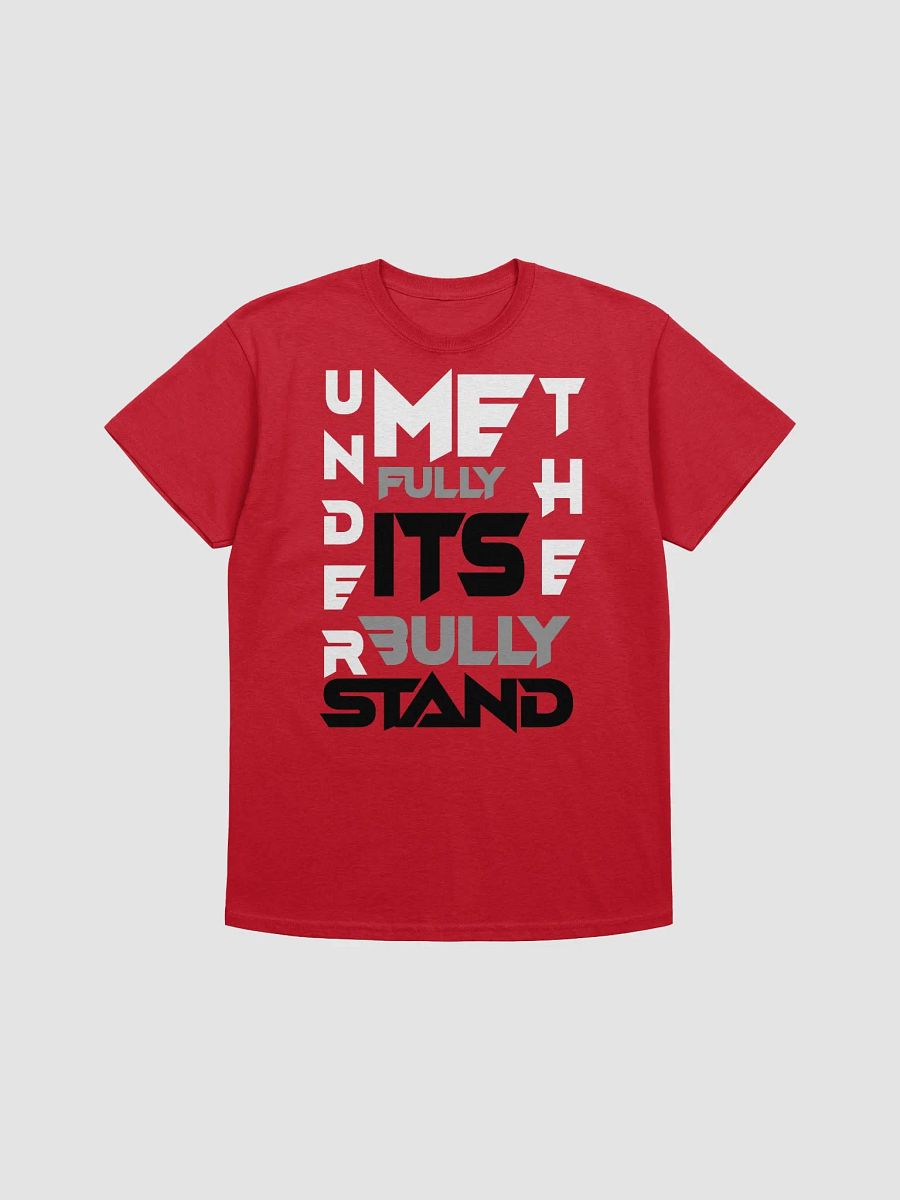 UNDERSTAND FULLY (T-SHRITS )RED product image (1)