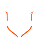 SpeedfestOrange