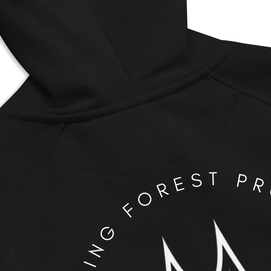 Forest Bridges Fall Colors Hoodies with Greyscale Logo & Emblem on Back product image (10)