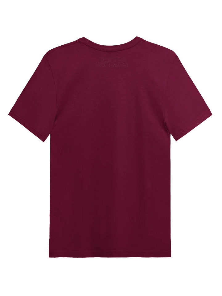 Ibreon Esports Ball Chaser Tee product image (11)