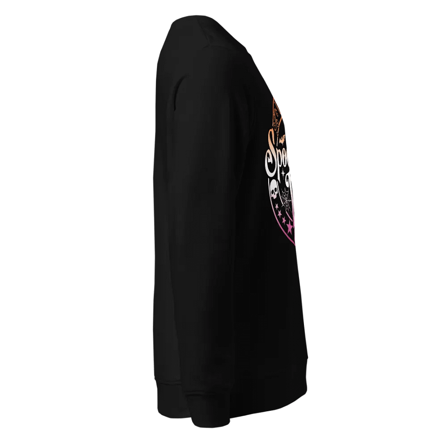 Spooky Bitch Era Lesbian Flag Organic Sweatshirt product image (3)