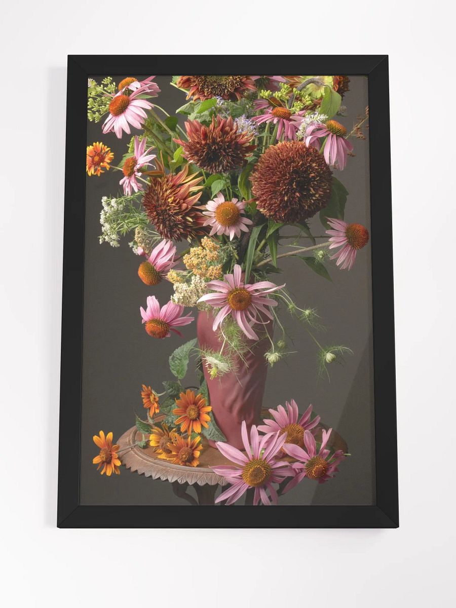 Echinacea Summer product image (4)