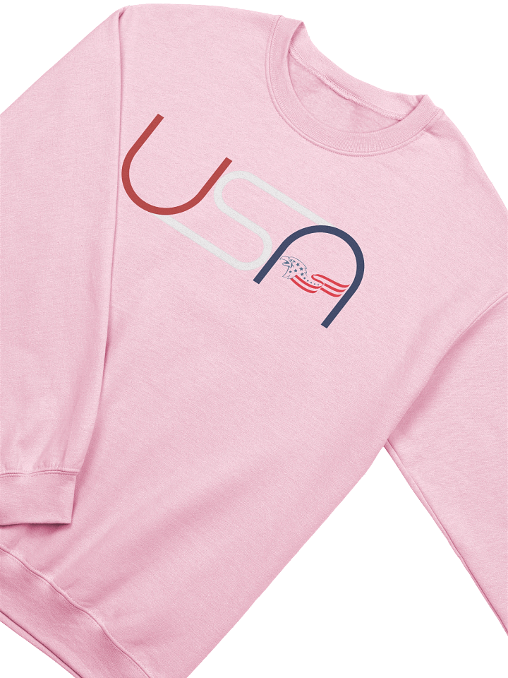Winged USA Crewneck Sweatshirt product image (2)