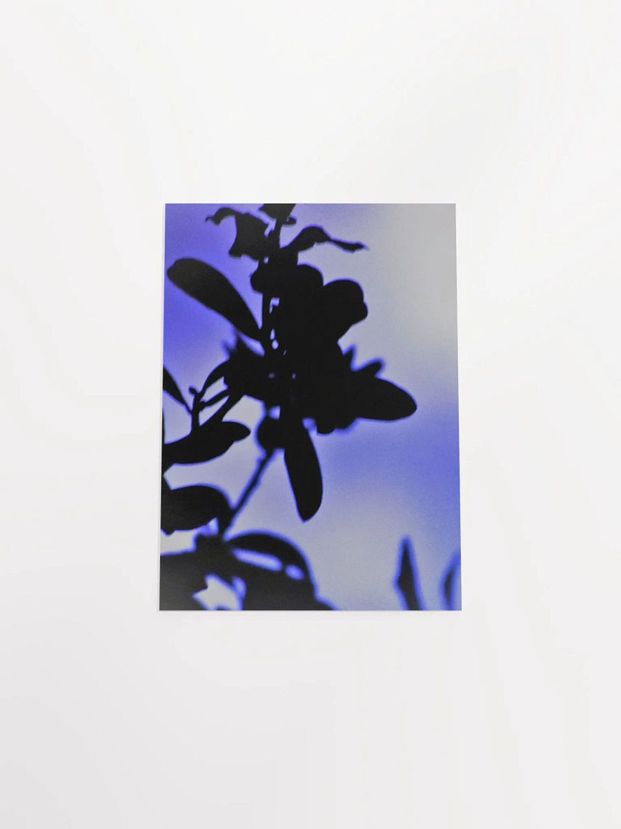 Blue Plant Glow product image (47)