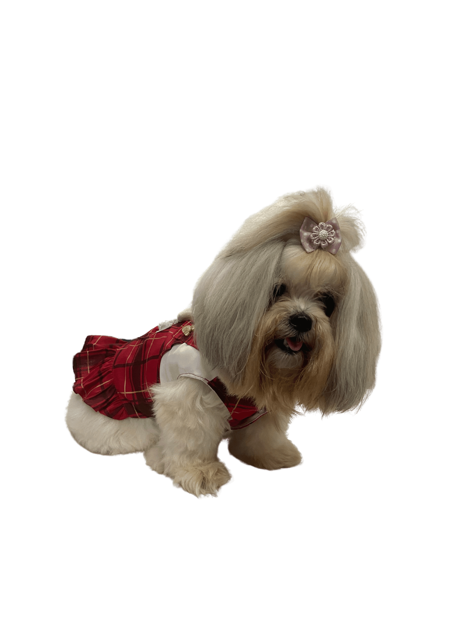 Vestido Pet Ursabela - Modelagem Pet PDF product image (3)