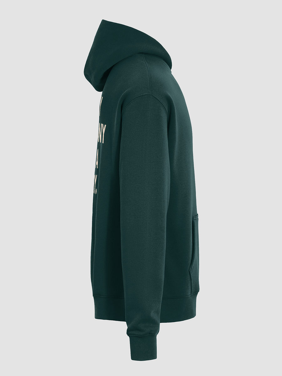 Every Company Has a Story - Premium Hoodie product image (7)