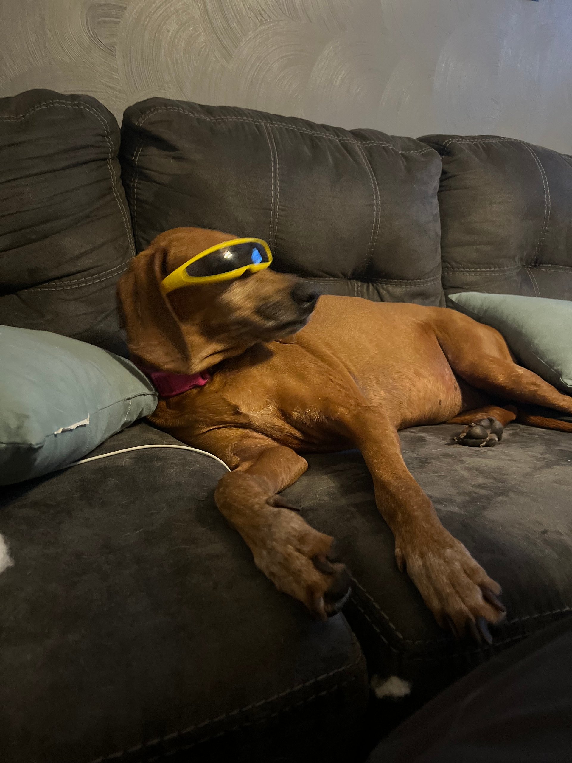 Lenny The Heart Custom ™ Yellow Glasses product image (3)