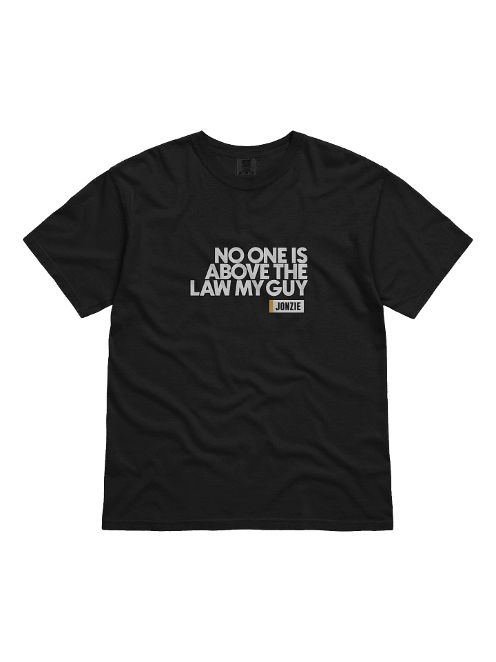 NO ONE IS ABOVE THE LAW T Shirt product image (1)